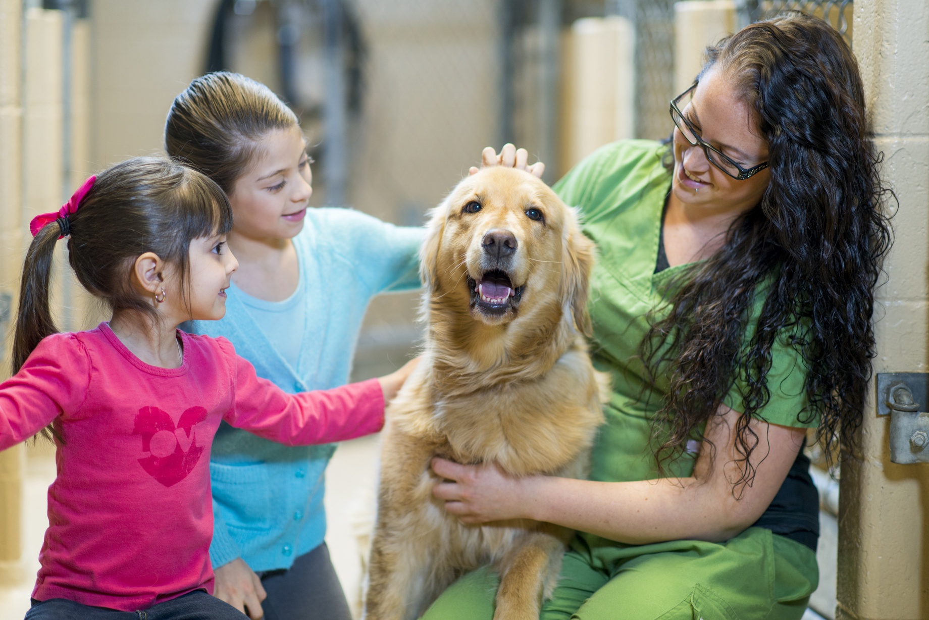 Animal shelter
