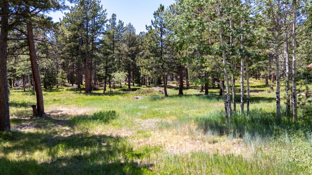 Five acres in Boulder County with meadows and useable land